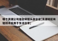 哪个浪潮公司是区块链头部企业[浪潮将区块链技术应用于生活日常]